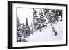 Tyler Hatcher Skis A Powder Haven During Winter Whiteout In The Backcountry, Mt Baker Ski Area WA-Jay Goodrich-Framed Photographic Print