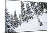 Tyler Hatcher Skis A Powder Haven During Winter Whiteout In The Backcountry, Mt Baker Ski Area WA-Jay Goodrich-Mounted Photographic Print