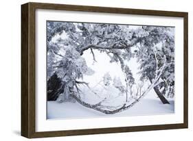 Tyler Hatcher Skis A Powder Haven, Winter Whiteout, Backcountry Near Mt Baker Ski Area In WA State-Jay Goodrich-Framed Photographic Print