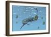 Tylosaurus Tries to Feed on Some Ammonites-Stocktrek Images-Framed Art Print