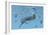 Tylosaurus Tries to Feed on Some Ammonites-Stocktrek Images-Framed Art Print