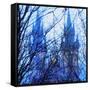 Tyn Cathedral-Tosh-Framed Stretched Canvas