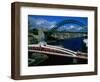 Tyne and Swing Bridges, Newcastle-Upon-Tyne, United Kingdom-Neil Setchfield-Framed Photographic Print