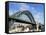 Tyne Bridge, Newcastle Upon Tyne, Tyne and Wear, England, United Kingdom-James Emmerson-Framed Stretched Canvas