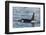 Type a Killer Whale (Orcinus Orca) Bull-Michael Nolan-Framed Photographic Print