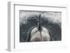 Type B Killer Whale (Orca Orcinus) Surfacing-Brent Stephenson-Framed Photographic Print