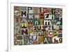 Type I-Sharon Elphick-Framed Premium Giclee Print