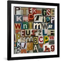 Type II-Sharon Elphick-Framed Art Print