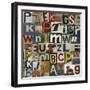 Type II-Sharon Elphick-Framed Giclee Print