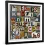 Type II-Sharon Elphick-Framed Giclee Print