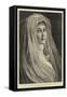 Type of Beauty, X-Philip Richard Morris-Framed Stretched Canvas