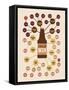 Types of Beer-null-Framed Stretched Canvas