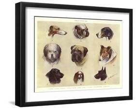 Types of British Dogs-null-Framed Giclee Print