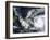 Typhoon Bopha in the Western Pacific Ocean-null-Framed Photographic Print