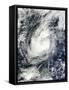 Typhoon Bopha over the South China Sea-null-Framed Stretched Canvas