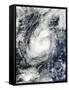 Typhoon Bopha over the South China Sea-null-Framed Stretched Canvas