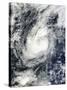 Typhoon Bopha over the South China Sea-null-Stretched Canvas