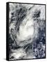 Typhoon Bopha over the South China Sea-null-Framed Stretched Canvas