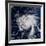 Typhoon Bopha Southeast of the Philippines-null-Framed Photographic Print