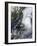 Typhoon Krosa over the Phillippines-null-Framed Photographic Print