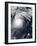 Typhoon Lekima in the Pacific Ocean-null-Framed Premium Photographic Print