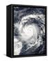 Typhoon Nida in the Pacific Ocean-null-Framed Stretched Canvas