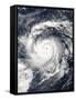 Typhoon Nida in the Pacific Ocean-null-Framed Stretched Canvas