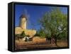 Typical Agricultural Windmill, Mallorca, Balearic Islands, Spain, Europe-Tomlinson Ruth-Framed Stretched Canvas