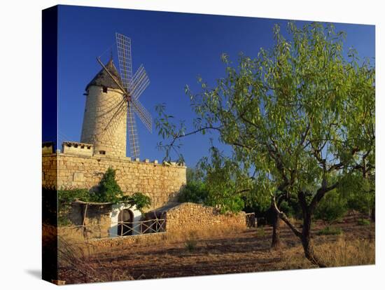 Typical Agricultural Windmill, Mallorca, Balearic Islands, Spain, Europe-Tomlinson Ruth-Stretched Canvas