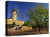 Typical Agricultural Windmill, Mallorca, Balearic Islands, Spain, Europe-Tomlinson Ruth-Stretched Canvas