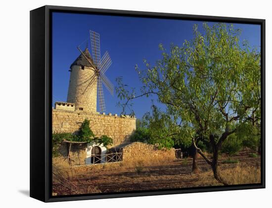 Typical Agricultural Windmill, Mallorca, Balearic Islands, Spain, Europe-Tomlinson Ruth-Framed Stretched Canvas