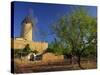 Typical Agricultural Windmill, Mallorca, Balearic Islands, Spain, Europe-Tomlinson Ruth-Stretched Canvas