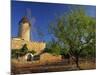 Typical Agricultural Windmill, Mallorca, Balearic Islands, Spain, Europe-Tomlinson Ruth-Mounted Photographic Print