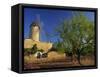 Typical Agricultural Windmill, Mallorca, Balearic Islands, Spain, Europe-Tomlinson Ruth-Framed Stretched Canvas