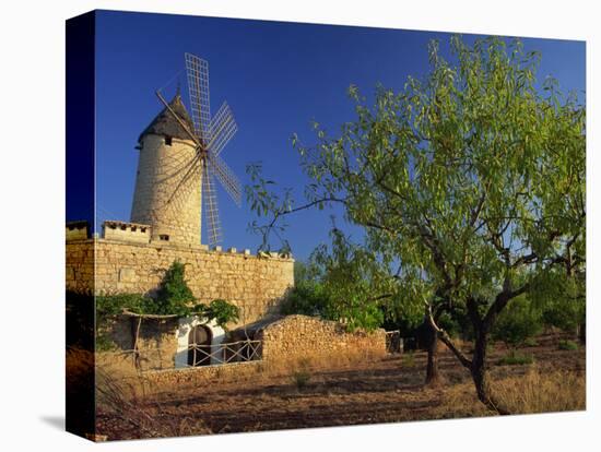 Typical Agricultural Windmill, Mallorca, Balearic Islands, Spain, Europe-Tomlinson Ruth-Stretched Canvas