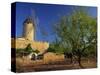 Typical Agricultural Windmill, Mallorca, Balearic Islands, Spain, Europe-Tomlinson Ruth-Stretched Canvas