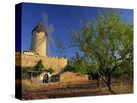 Typical Agricultural Windmill, Mallorca, Balearic Islands, Spain, Europe-Tomlinson Ruth-Stretched Canvas
