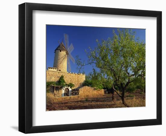 Typical Agricultural Windmill, Mallorca, Balearic Islands, Spain, Europe-Tomlinson Ruth-Framed Photographic Print