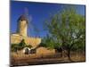 Typical Agricultural Windmill, Mallorca, Balearic Islands, Spain, Europe-Tomlinson Ruth-Mounted Photographic Print