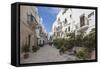 Typical alley and houses of the old town, Polignano a Mare, Province of Bari, Apulia, Italy, Europe-Roberto Moiola-Framed Stretched Canvas