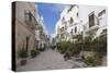 Typical alley and houses of the old town, Polignano a Mare, Province of Bari, Apulia, Italy, Europe-Roberto Moiola-Stretched Canvas