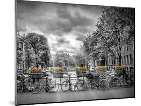Typical Amsterdam-Melanie Viola-Mounted Art Print