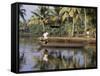 Typical Backwater Scene, Where Canals and Rivers are Used as Roadways, Kerala State, India-R H Productions-Framed Stretched Canvas