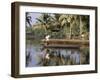 Typical Backwater Scene, Where Canals and Rivers are Used as Roadways, Kerala State, India-R H Productions-Framed Photographic Print