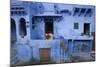 Typical Blue Architecture, Jodhpur, Western Rajasthan, India, Asia-Doug Pearson-Mounted Photographic Print