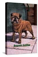 Typical Brussels Griffon Champion-null-Stretched Canvas