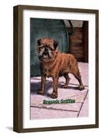 Typical Brussels Griffon Champion-null-Framed Art Print