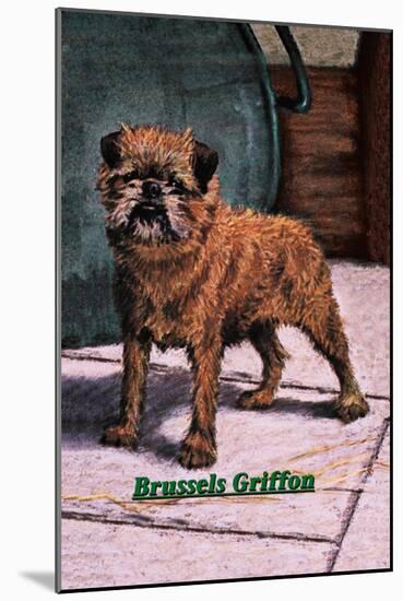 Typical Brussels Griffon Champion-null-Mounted Art Print