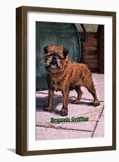 Typical Brussels Griffon Champion-null-Framed Art Print