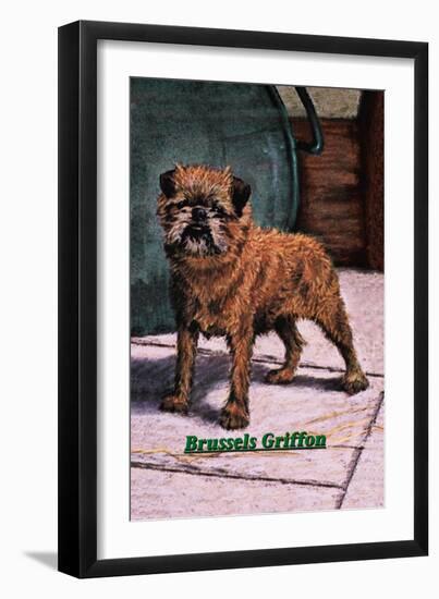 Typical Brussels Griffon Champion-null-Framed Art Print